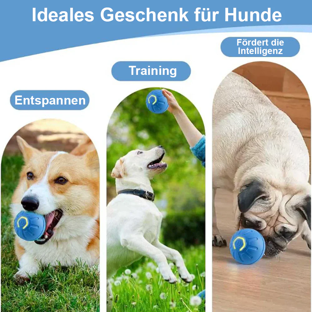 Intelligentes springendes Haustierspielzeug – Mentale Stimulation -Remifa® - Image 4
